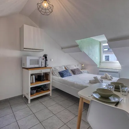 L'ecrin D'alembert - Clinique Mutualiste / Rocade Apartment Grenoble