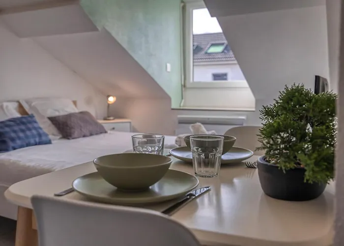 L'ecrin D'alembert - Clinique Mutualiste / Rocade * Grenoble