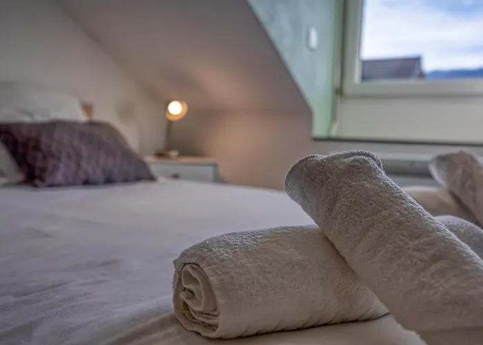 L'ecrin D'alembert - Clinique Mutualiste / Rocade