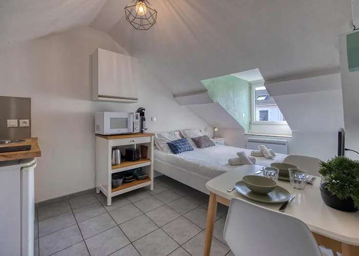 L'ecrin D'alembert - Clinique Mutualiste / Rocade Apartment Grenoble