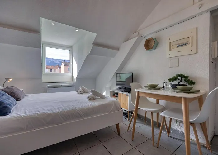 L'ecrin D'alembert - Clinique Mutualiste / Rocade Apartment *